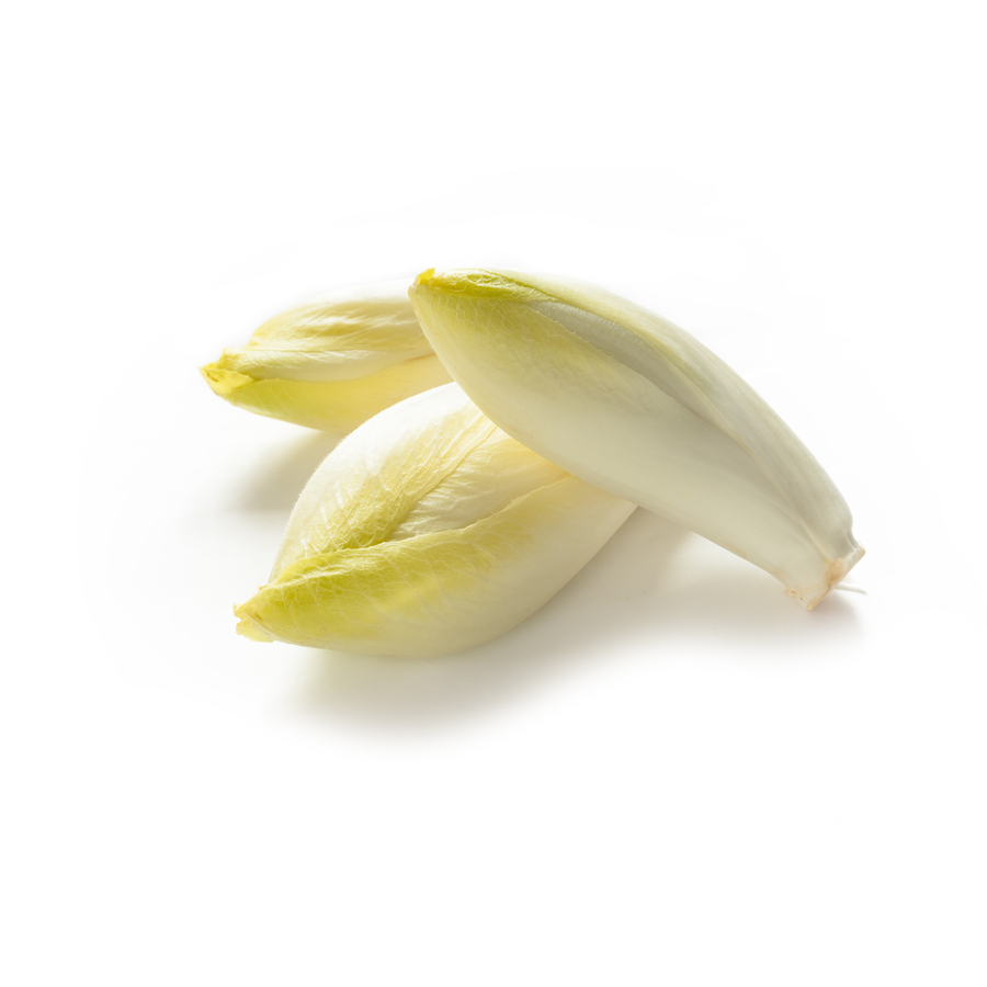 Indivia Belga