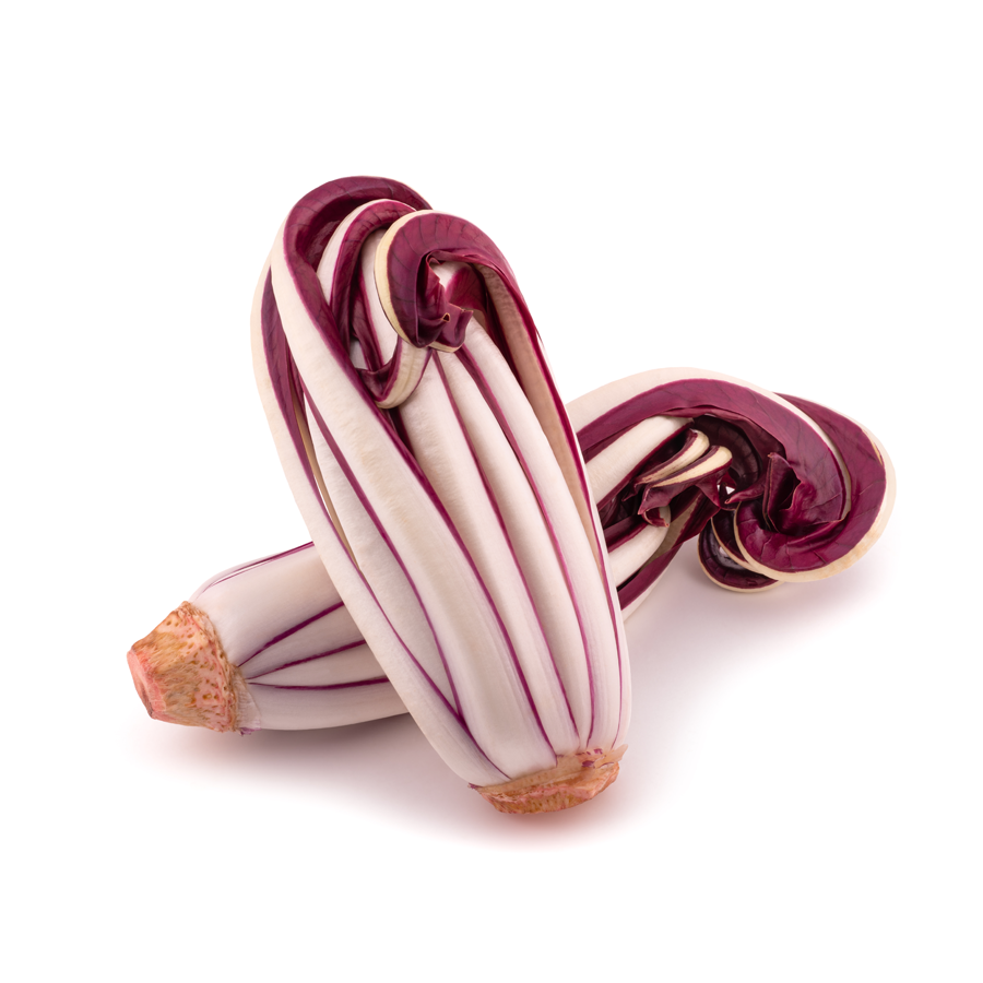 Radicchio Tardivo