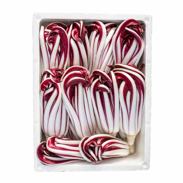 Cassetta Radicchio Tardivo 3Kg