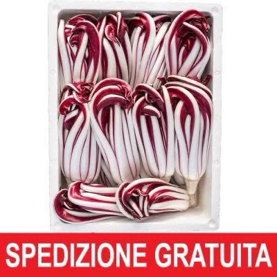 Cassetta Radicchio Tardivo 2,5 Kg